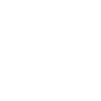 vidful.ai